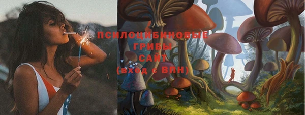 ГАЛЛЮЦИНОГЕННЫЕ ГРИБЫ Арсеньев