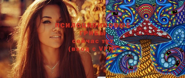 ГАЛЛЮЦИНОГЕННЫЕ ГРИБЫ Арсеньев