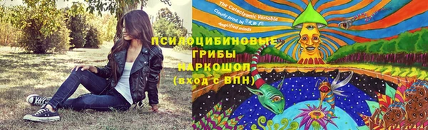 ГАЛЛЮЦИНОГЕННЫЕ ГРИБЫ Арсеньев