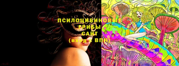 МДПВ Аркадак