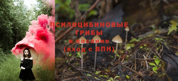 гашик Алексин